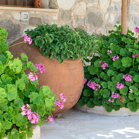 Sousannou Stone House, 3 Bedroom Mountain Escape With Bbq And Fireplace Galataria