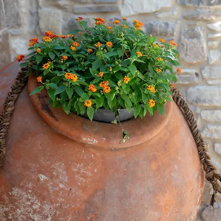 Sousannou Stone House, 3 Bedroom Mountain Escape With Bbq And Fireplace