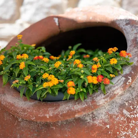 Sousannou Stone House, 3 Bedroom Mountain Escape With Bbq And Fireplace בית נופש Galataria