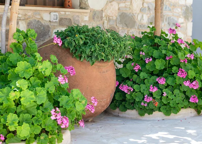 Sousannou Stone House, 3 Bedroom Mountain Escape With Bbq And Fireplace Galataria