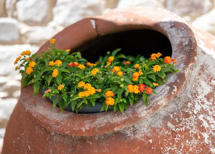 Sousannou Stone House, 3 Bedroom Mountain Escape With Bbq And Fireplace Semesterbostad Galataria